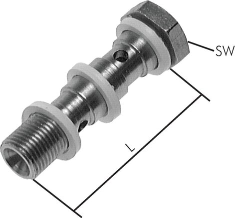 Exemplary representation: Stainless steel banjo bolt (2-fold)